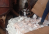 FDA destroys 40ft container of unhygienic diapers imported from Spain