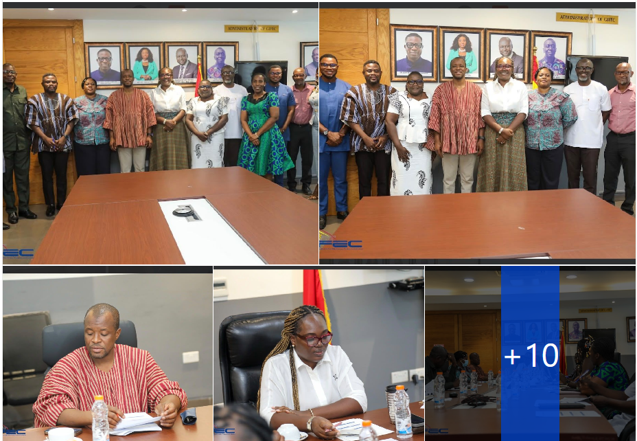 IFAP Committee sets up resource mobilization team to fund information access for persons with disabilities