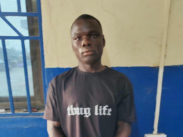 Man who assaulted wife in viral video jailed three months with hard labour